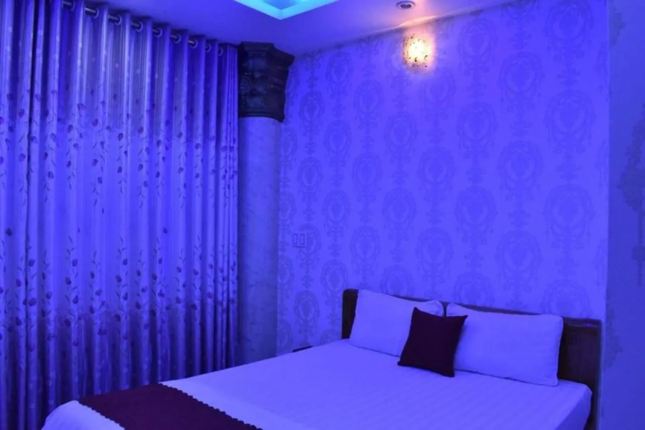 Thien Phu Hotel 호치민 2*,